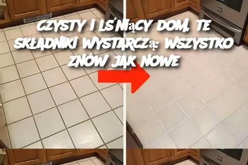 Czysty i lśniący dom, te składniki wystarczą: wszystko znów jak nowe