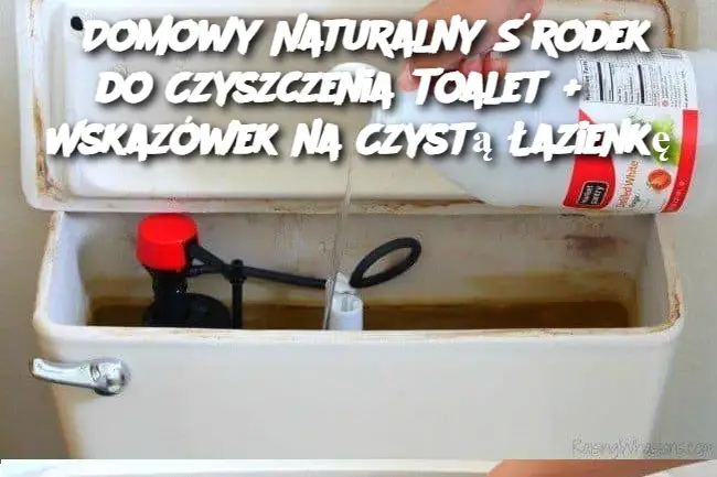 Domowy Naturalny Środek do Czyszczenia Toalet + 6 Wskazówek na Czystą Łazienkę