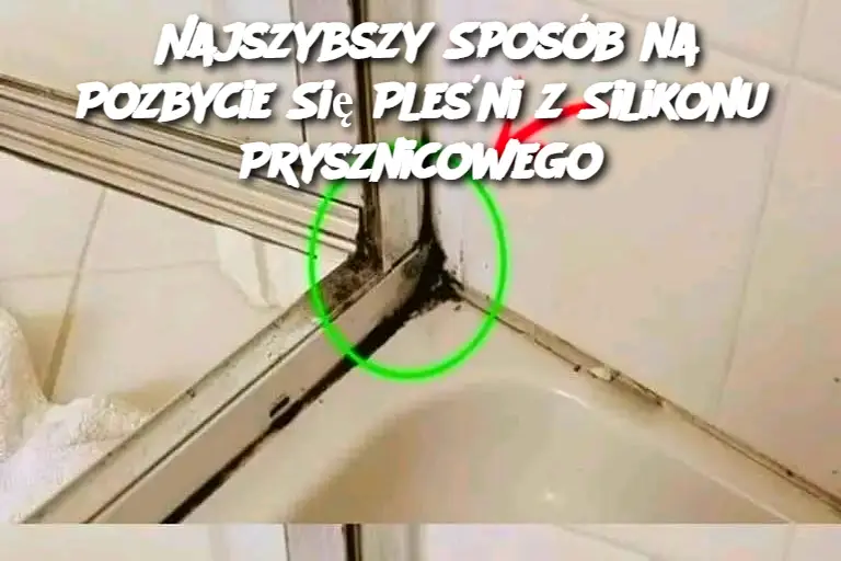 Najszybszy Sposób na Pozbycie Się Pleśni z Silikonu Prysznicowego