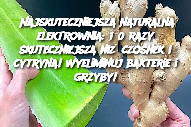 Najskuteczniejsza naturalna elektrownia: 150 razy skuteczniejsza niż czosnek i cytryna! Wyeliminuj bakterie i grzyby!