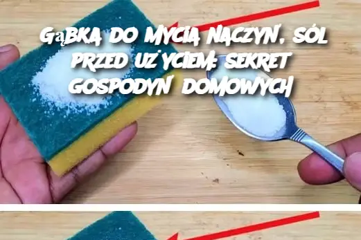 Gąbka do mycia naczyń, sól przed użyciem: sekret gospodyń domowych