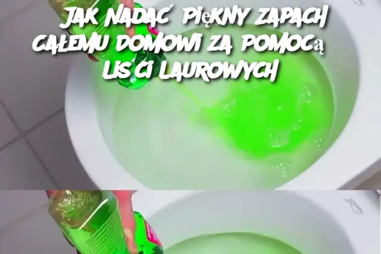 Jak Nadać Piękny Zapach Całemu Domowi za Pomocą 3 Liści Laurowych