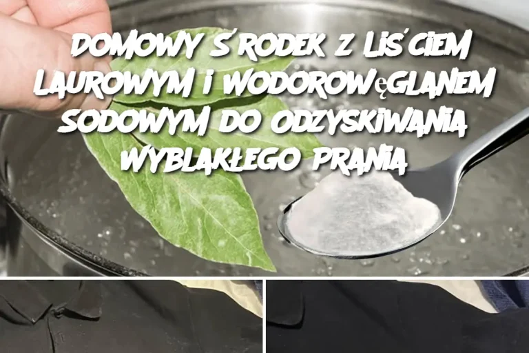 Domowy Środek z Liściem Laurowym i Wodorowęglanem Sodowym do Odzyskiwania Wyblakłego Prania