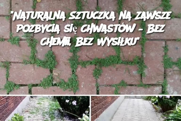 Naturalna Sztuczka na Zawsze Pozbycia się Chwastów – Bez Chemii, Bez Wysiłku