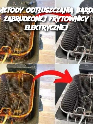 6 Metody odtłuszczania bardzo zabrudzonej frytownicy elektrycznej