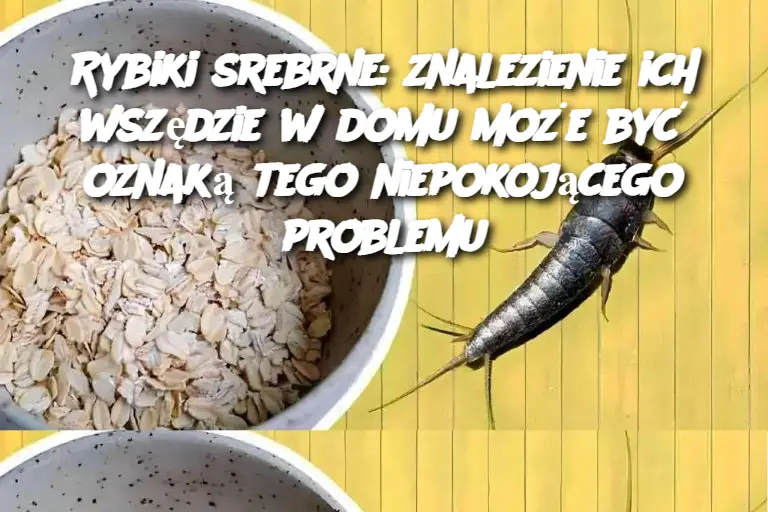 Rybiki srebrne: znalezienie ich wszędzie w domu może być oznaką tego niepokojącego problemu