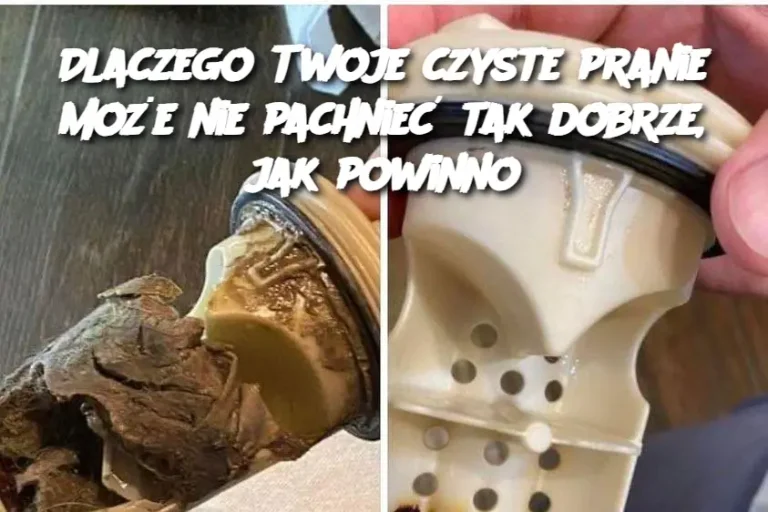 Dlaczego Twoje czyste pranie może nie pachnieć tak dobrze, jak powinno