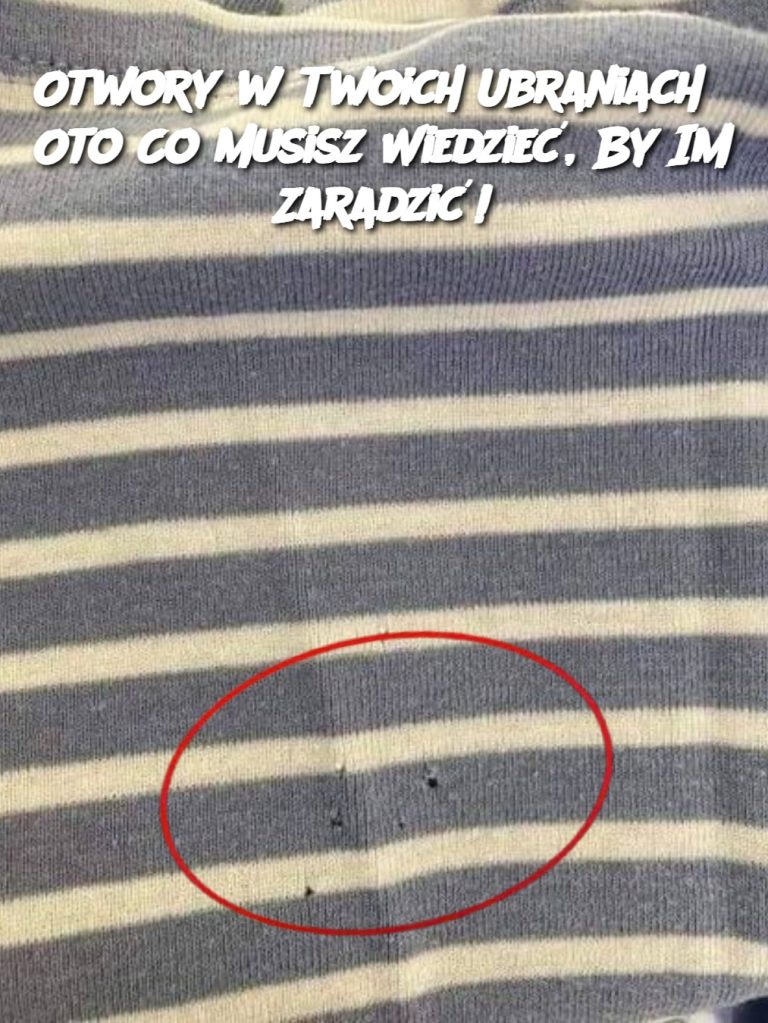 Otwory w Twoich Ubraniach? Oto Co Musisz Wiedzieć, By Im Zaradzić!