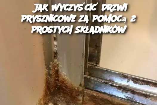 Jak Wyczyścić Drzwi Prysznicowe za Pomocą 2 Prostych Składników