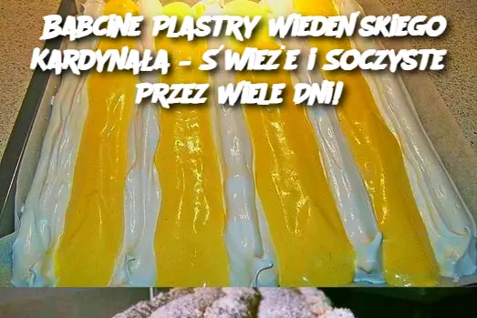 Babcine Plastry Wiedeńskiego Kardynała – Świeże i Soczyste Przez Wiele Dni!