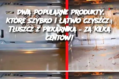 Dwa Popularne Produkty, Które Szybko i Łatwo Czyszczą Tłuszcz z Piekarnika – Za Kilka Centów!