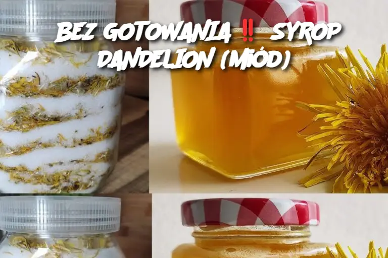 BEZ GOTOWANIA SYROP DANDELION (miód)