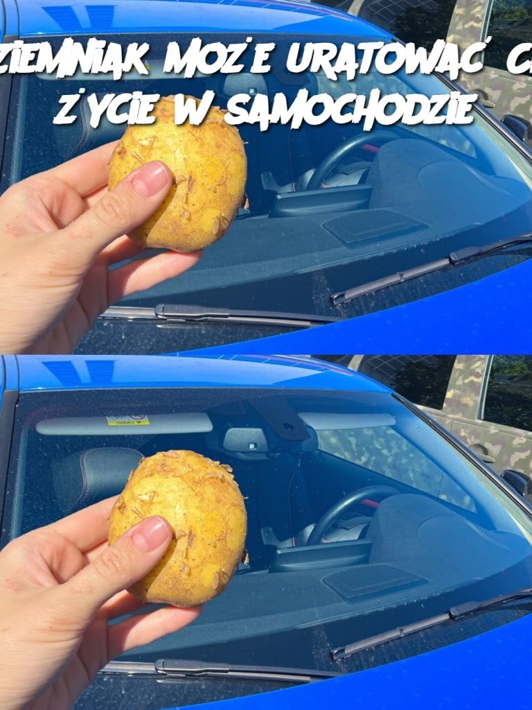 Ziemniak może uratować Ci życie w samochodzie