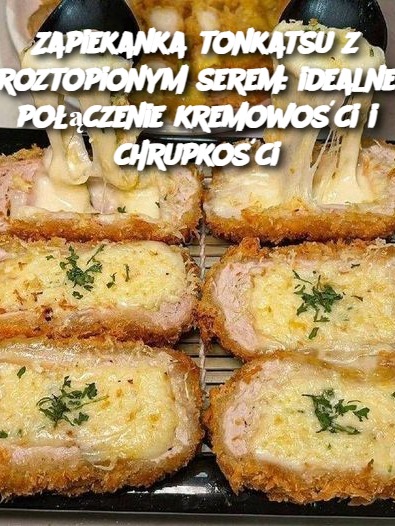 Zapiekanka tonkatsu z roztopionym serem: idealne połączenie kremowości i chrupkości