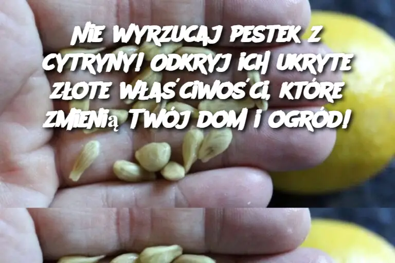 Nie wyrzucaj pestek z cytryny! Odkryj ich ukryte złote właściwości, które zmienią Twój dom i ogród!