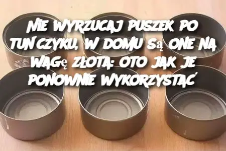 Pomysły na Ich Ponowne Wykorzystanie