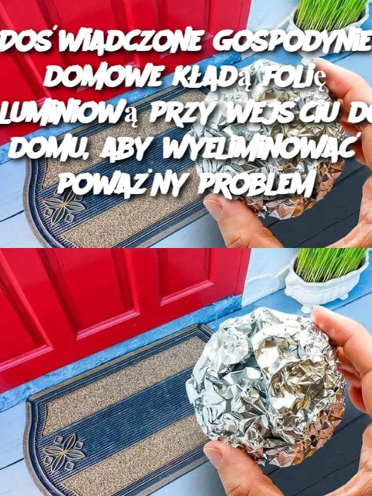 Doświadczone gospodynie domowe kładą folię aluminiową przy wejściu do domu, aby wyeliminować poważny problem