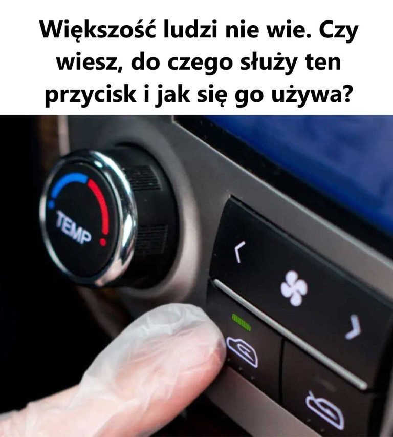 Nigdy nie wiedziałem, co to robi