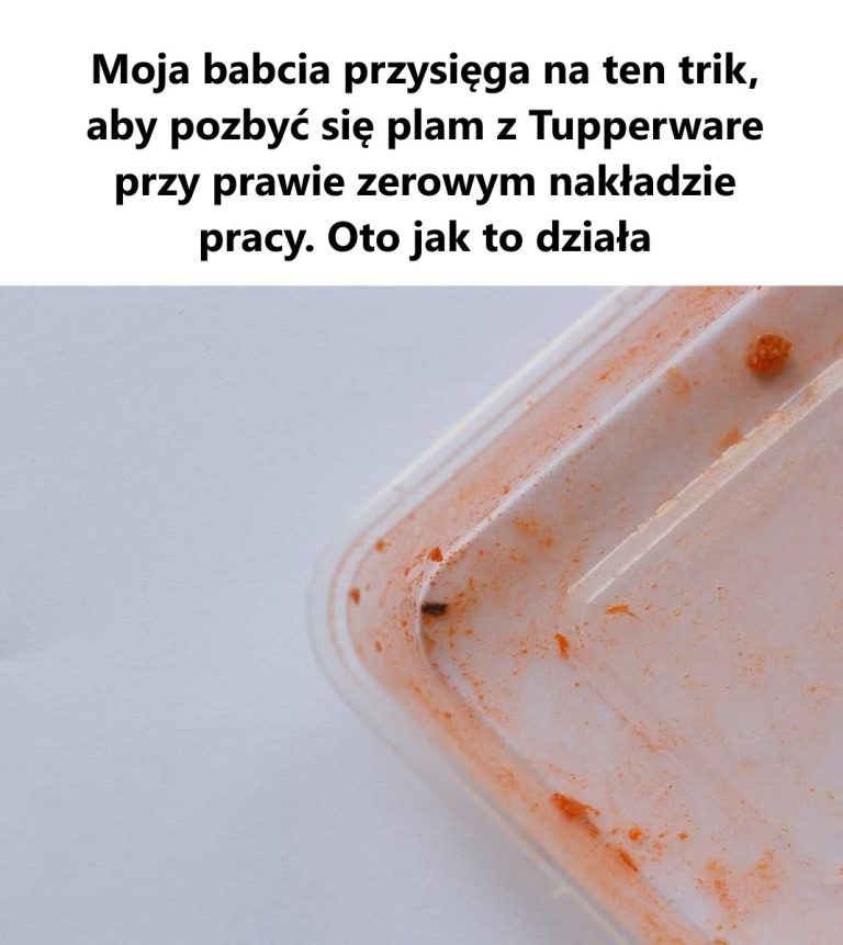 Moja babcia była mądrą kobietą: Tajny trik na usuwanie uporczywych plam z pojemników Tupperware