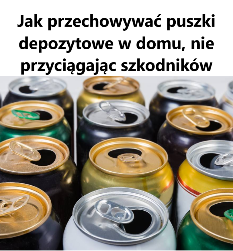 Jak przechowywać puszki depozytowe w domu, nie przyciągając szkodników