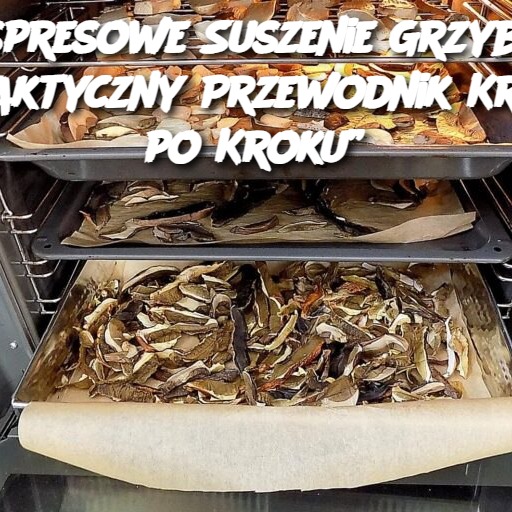 „Ekspresowe Suszenie Grzybów: Praktyczny Przewodnik Krok po Kroku”