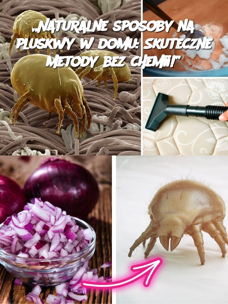 „Naturalne sposoby na pluskwy w domu: Skuteczne metody bez chemii!”