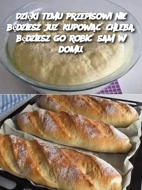 Dzięki temu przepisowi nie będziesz już kupować chleba, będziesz go robić sam w domu.