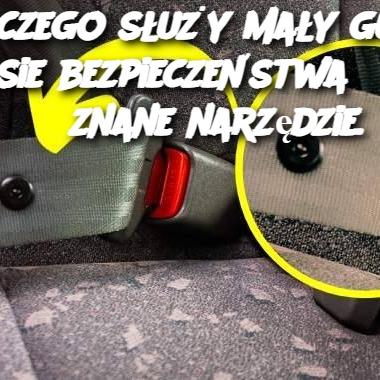 Do czego służy mały guzik na pasie bezpieczeństwa? Mało znane narzędzie.