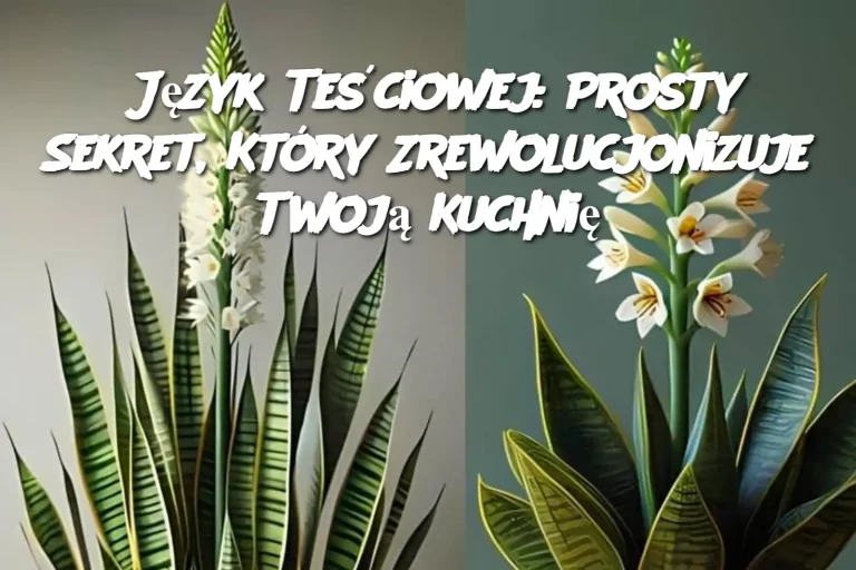 Język Teściowej: Prosty Sekret, Który Zrewolucjonizuje Twoją Kuchnię