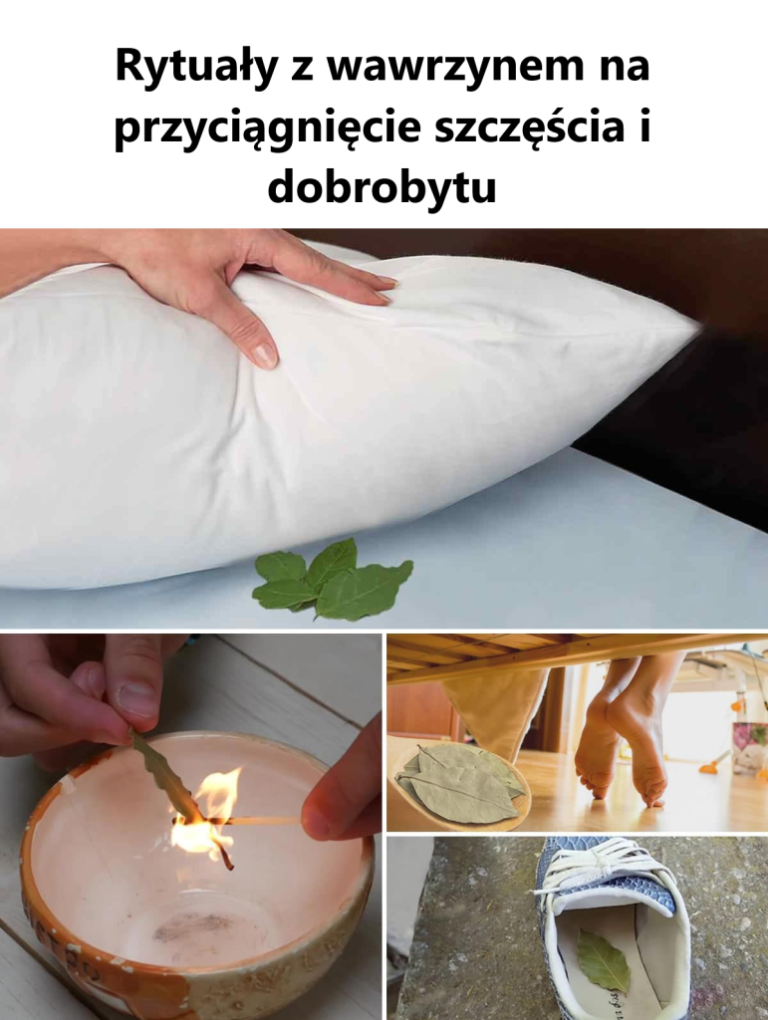 Rytuały z wawrzynem na przyciągnięcie szczęścia i dobrobytu