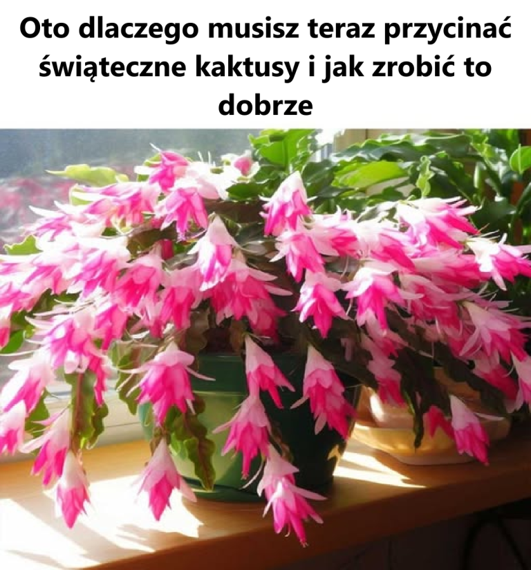 Cieszę się, że to zobaczyłem! Już się tym zajmuję!