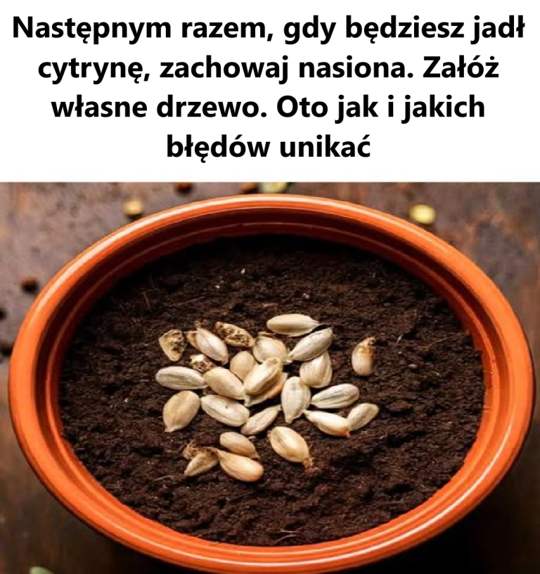 Naprawdę nie wiedziałem, że można to zrobić