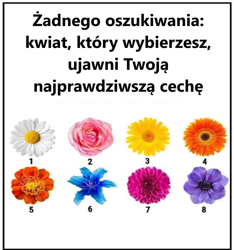 Bez Ch3atingu. Kwiat, który wybierzesz, ujawni twoją najprawdziwszą cechę