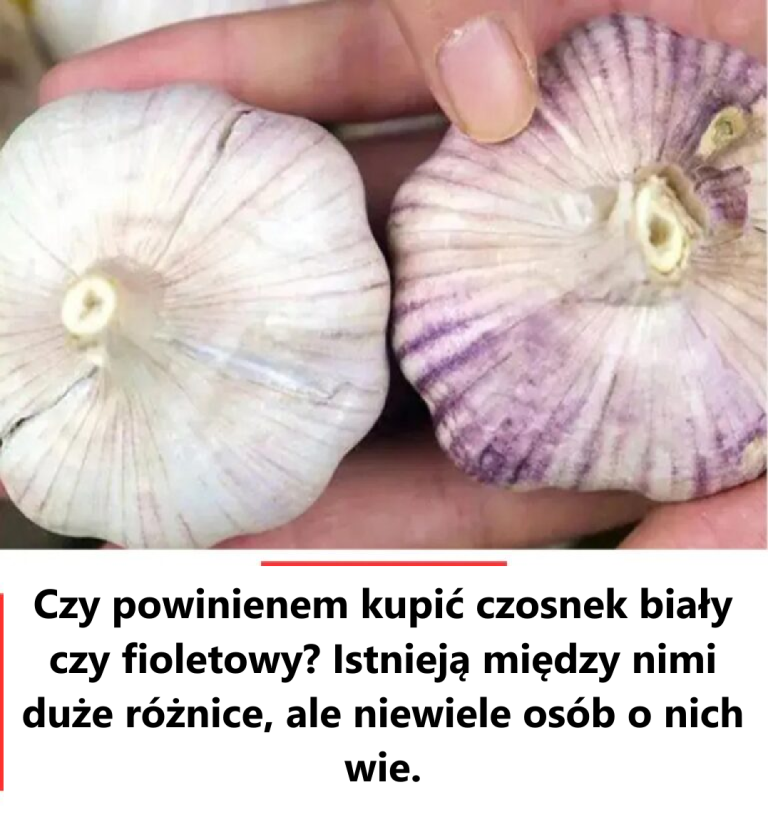 Czy powinienem kupić czosnek biały czy fioletowy?