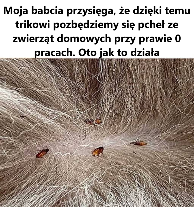 Szkoda, że ​​nie dowiedziałem się tego wiele lat temu