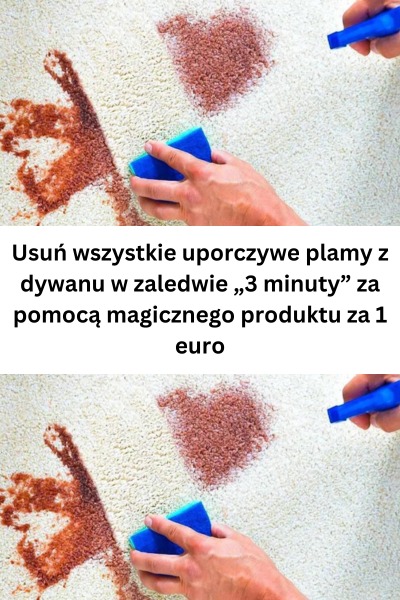 „Błyskawiczne usuwanie plam z dywanu – tani trik, który działa w 3 minuty!”