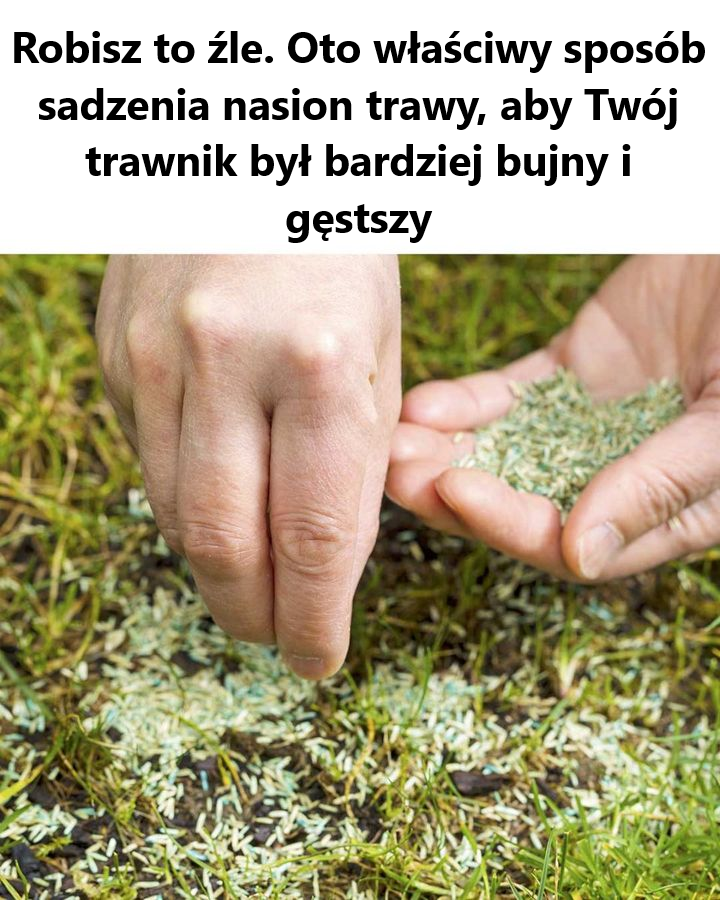 Świetne informacje! Szkoda, że ​​nie widziałem tego wcześniej!