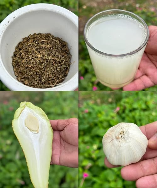 Cudowny napój: naturalny środek na trzustkę, cukrzycę, wątrobę, zaburzenia krążenia i raka – bez żadnych kosztów!