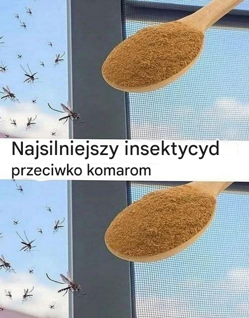 Najskuteczniejszy środek owadobójczy przeciwko komarom znajduje się w kuchni: sprawisz, że znikną za darmo