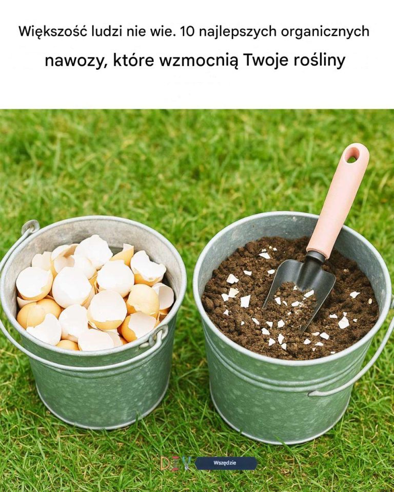 Większość ludzi nie wie. 10 najlepszych organicznych nawozów, które wzmocnią Twoje rośliny