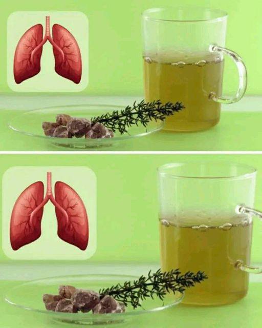 Tymianek – naturalna broń w walce z infekcjami gardła i dróg oddechowych!