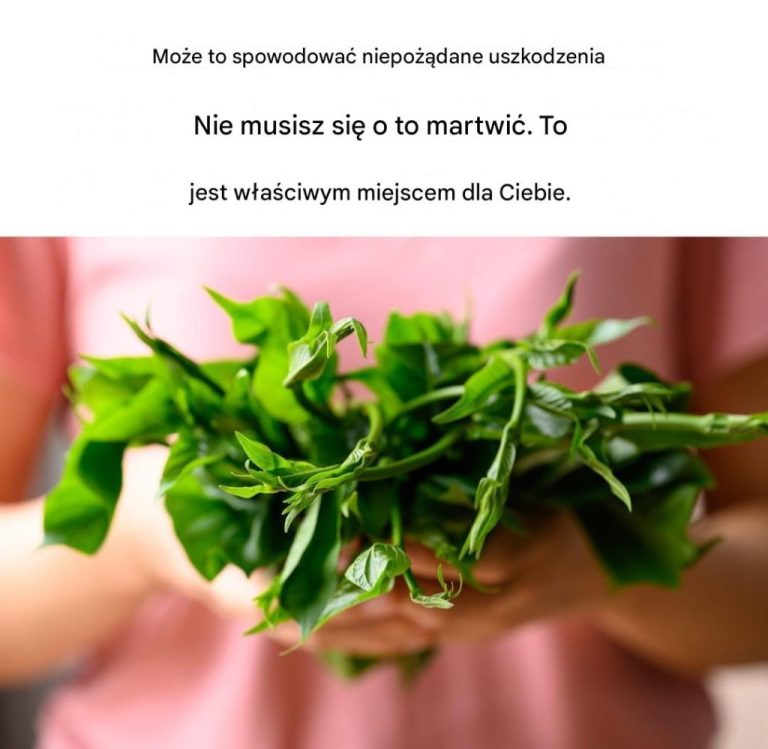 Roślina ta hamuje zapotrzebowanie na cukier, wystarczy ją żuć przed jedzeniem