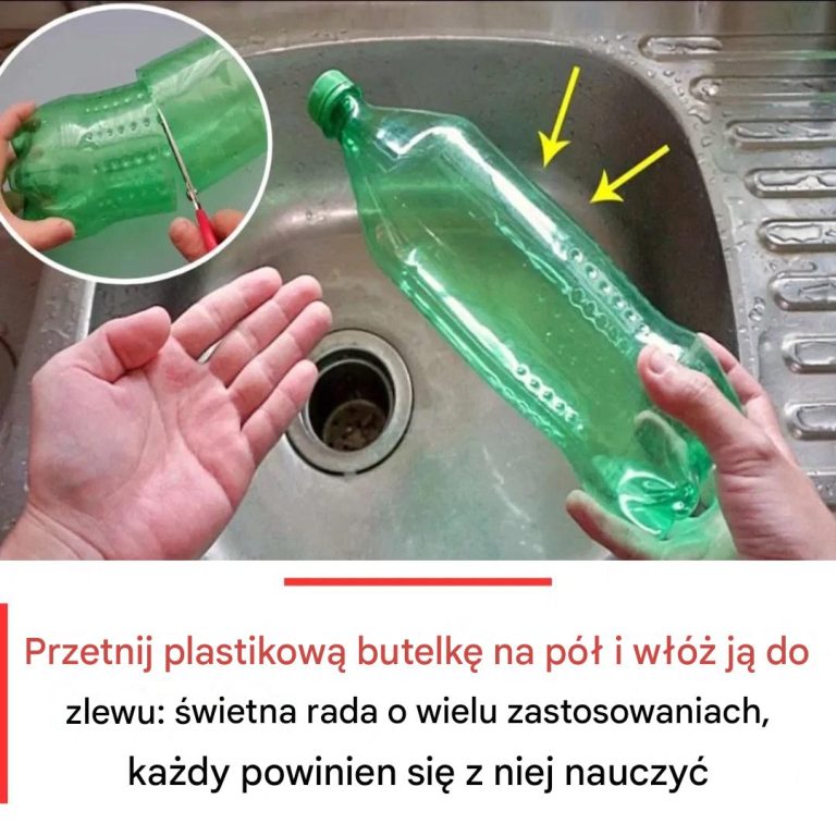 Przetnij plastikową butelkę na pół i umieść ją w zlewie